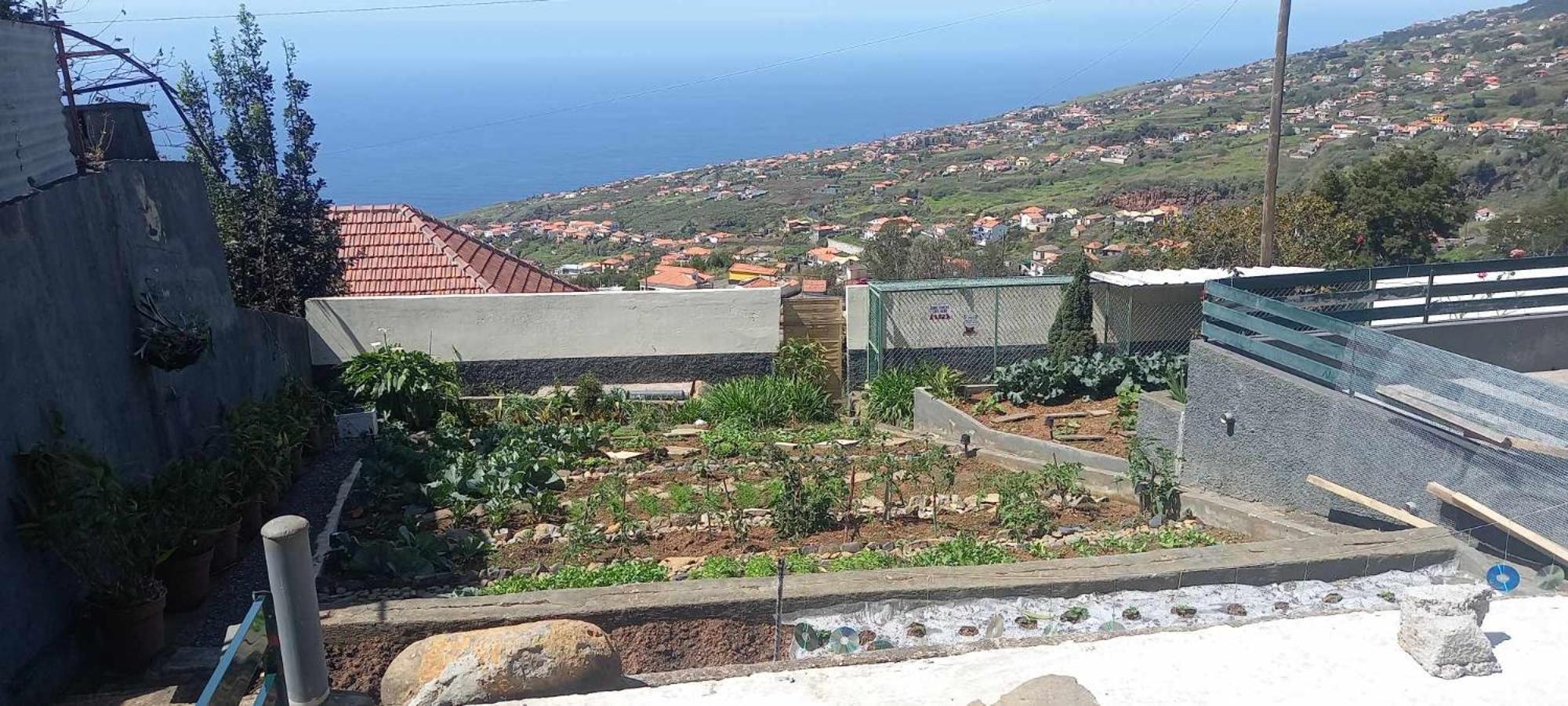 Casa Monte De Paz Calheta  Exterior photo